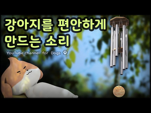 강아지를 편안하게 만드는 소리, 강아지 심리안정, 분리불안 해소 - Sounds that make your dog comfortable (Wind Chimes)