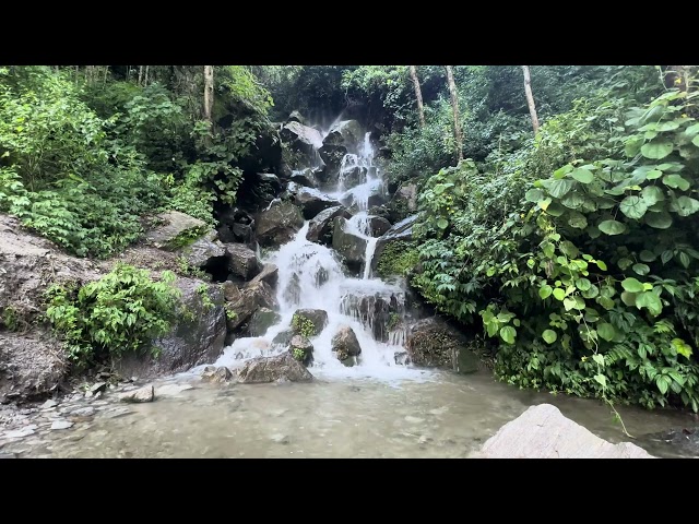 Nature Sound For Relaxing Sleep | Nature Sound For Study | Waterfall Sound For Stress Relief