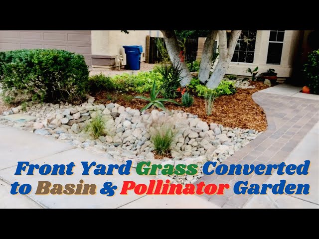 Front Yard Grass Converted to Basin & Pollinator Garden