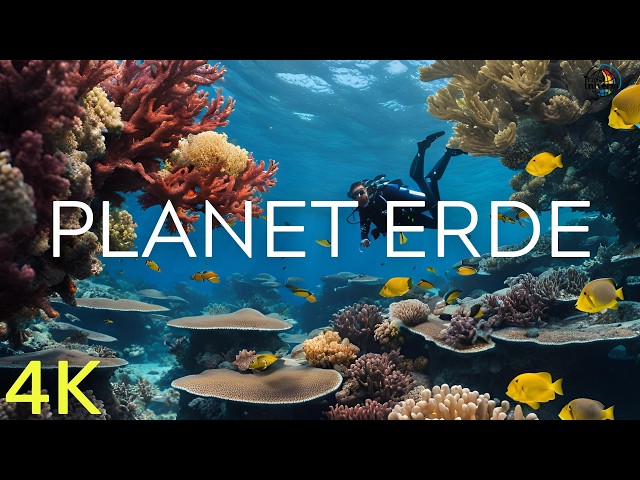 🌍 Wunder des Planeten Erde 🌍 Die erstaunlichsten Orte der Welt 🌍 Reisevideo 2025