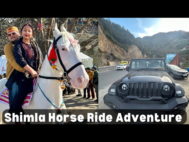 Epic Road Trip! Shimla to Delhi in a Thar 4x4 🚙 | Horse Ride & Scenic Views