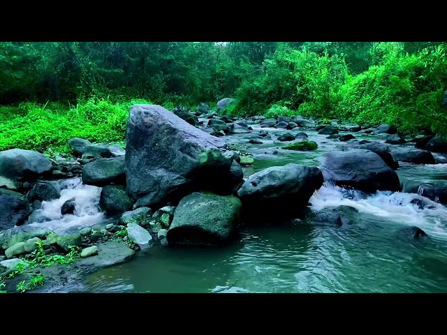 Amazing water in forest that clears your head, the sounds of nature and water that relieve tension