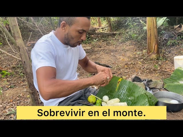 Cómo Preparar Comida en el Monte para Sobrevivir.