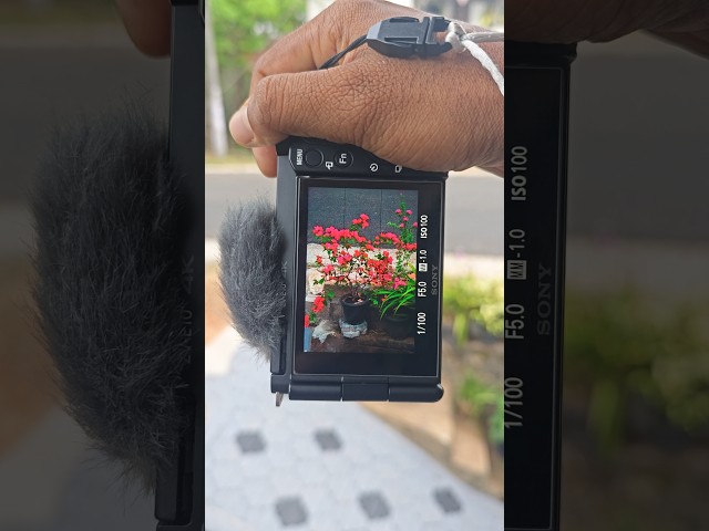 Phtography 😍Sony Zve10 😍#ytshorts#trending#viral