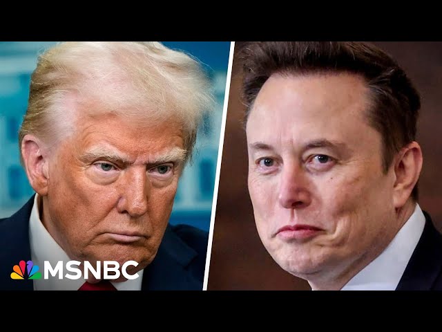 Employee or the boss? More Republicans 'nervous' about Trump's 'hatchet man' Musk