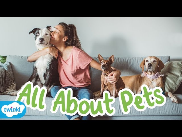 All About Pets for Kids | What Animals Are Pets in the UK?