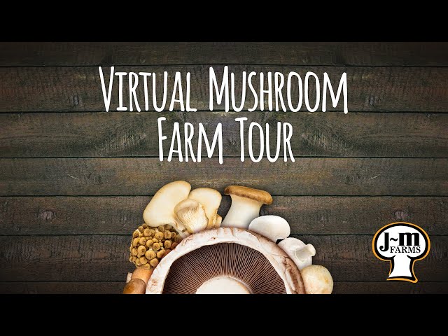 JM Farms - Virtual Mushroom Farm Tour