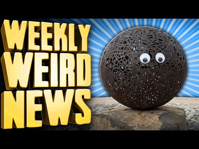 The Googly Eyes Bandit - Weekly Weird News