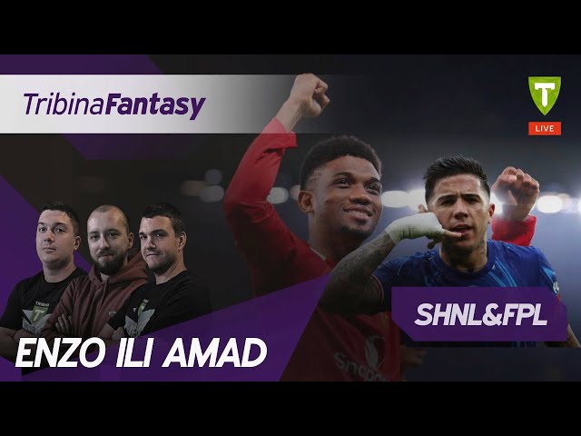 Enzo ili Amad | Tribina fantasy #82