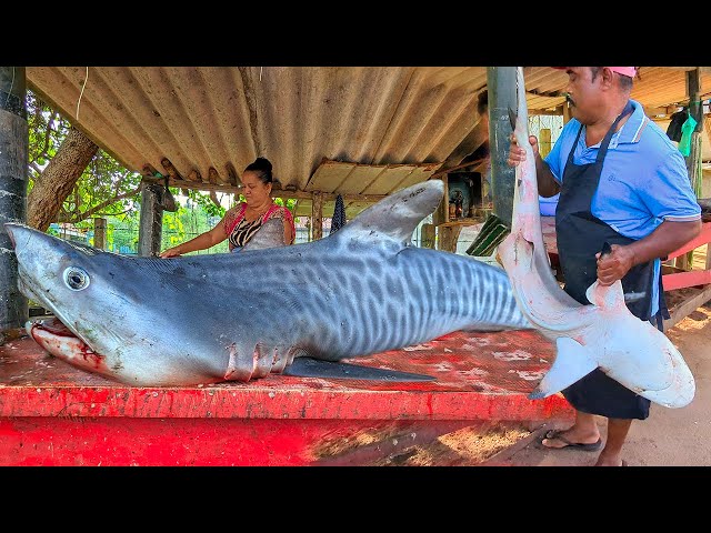 Amazing Skill Collection of Huge Fish Cutting in Street Fish Market