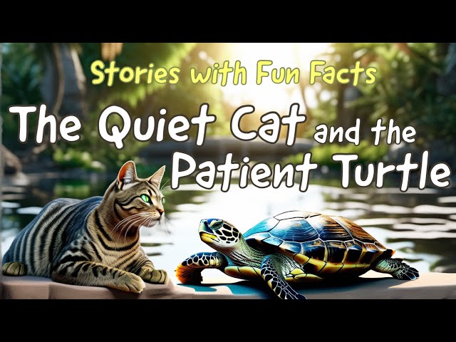 📚 The Quiet Cat and the Patient Turtle 📚 Stories for Toddlers｜Fun Facts｜Story time｜Bedtime Story