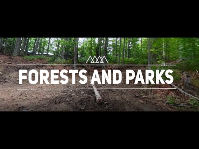 Carpathians Unite - Green Infrastructure: forests  and parks