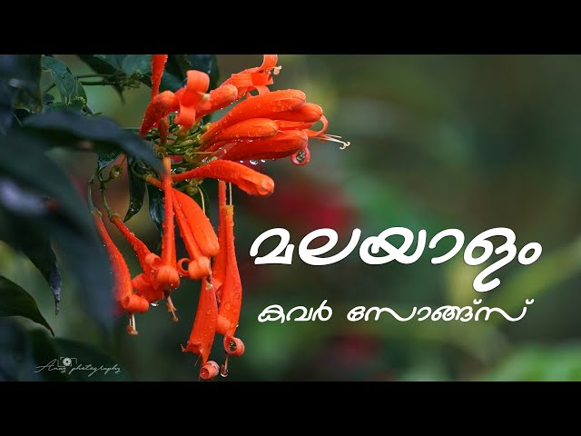 MALAYALAM ROMANTIC COVER SONGS | #malayalam #romantic #coversong #melody #song #songs #lovesong