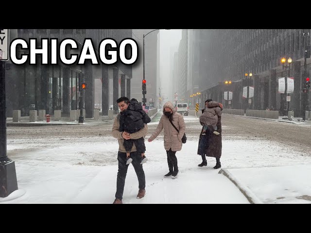 Snowstorm in Chicago Walk ❄️☃️ Downtown Snowfall on Wednesday | February 12, 2025 | 4K