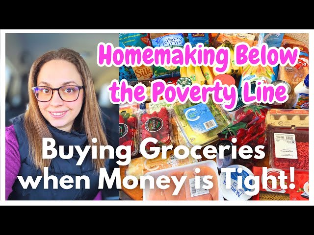 FEEDING MY LOW INCOME FAMILY ON A TIGHT BUDGET! (Homemaking Below the Poverty Line)