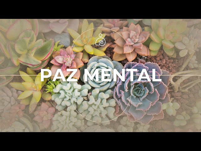 🌿Paz Mental / Libera El Estrés Y la Ansiedad /🌿Música ambiental 2024