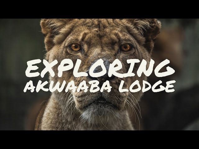 Visiting Akwaaba Lodge! ¦ 5K ¦ POV ¦ Garmin Virb 360