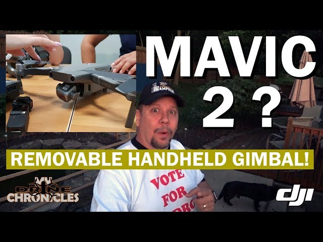 DJI Mavic 2 | Removable Handheld Gimbal