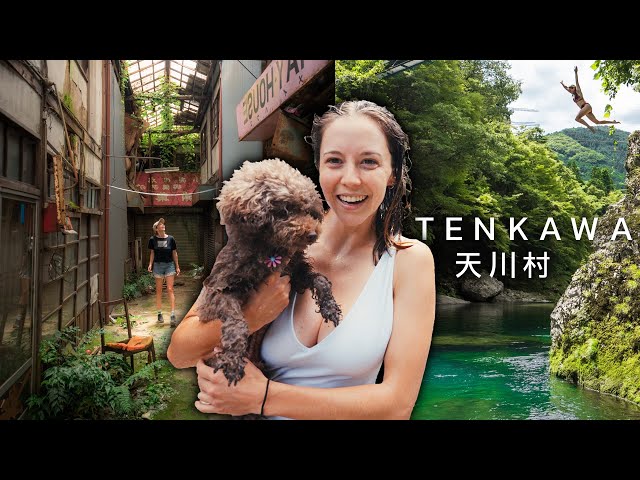 Abandoned Malls, Valley Camping and a Dog Companion! Japanese Summer - Tenkawa, Nara