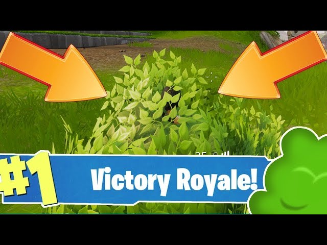 Epic bushcamp strat in Fortnite