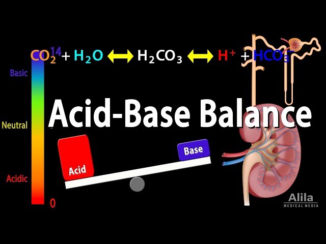 Acid Base Balance, Animation.