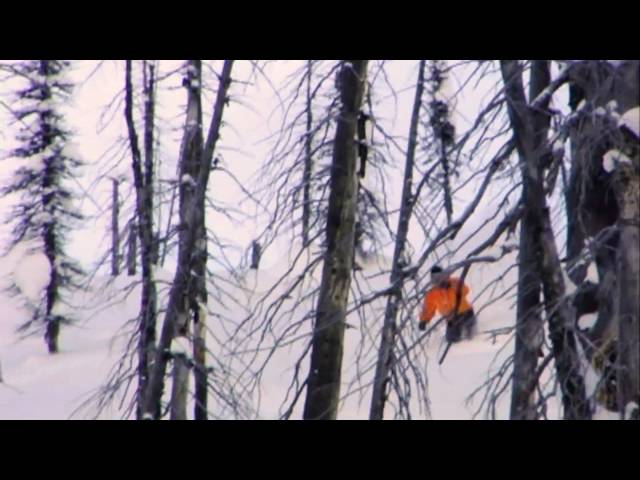 Chatter Creek Cat and Heliskiing