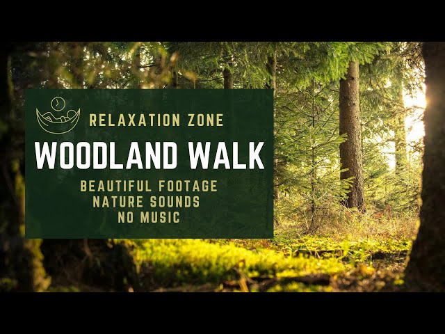 1 Hour Relaxing Nature Sounds | Beautiful Footage |  No Music