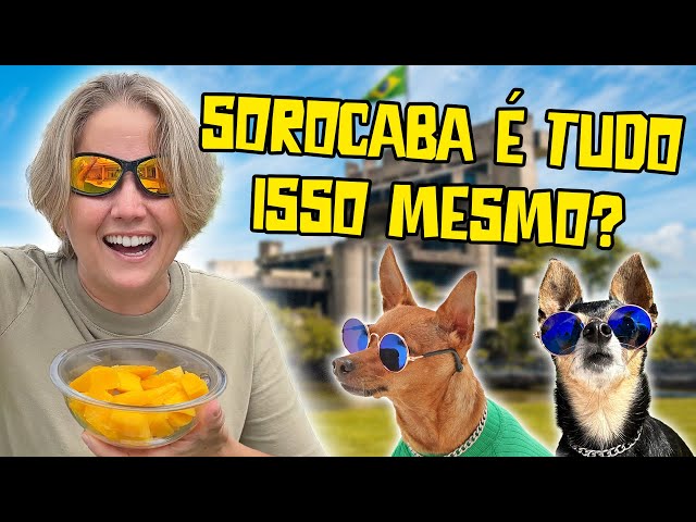 SOROCABA É MESMO NOSSA DUBAI BRASILEIRA? MELHORIAS PARA OS PETS!