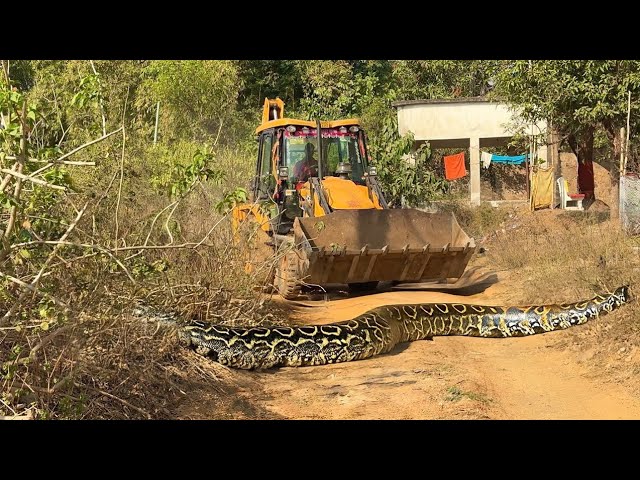 JCB 3dx xpert loading mud In Mahindra 475 JCB miti Khudai JCB miti Khudai JCB video #jcb #jcbcarton