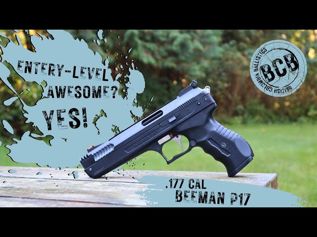 .177 Cal Beeman P17 Review! From BC Ballistics!