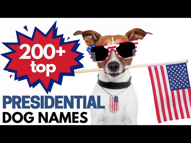 Top 200+ US Presidential and Politics Inspired Dog Names | Patriotic and Fun!