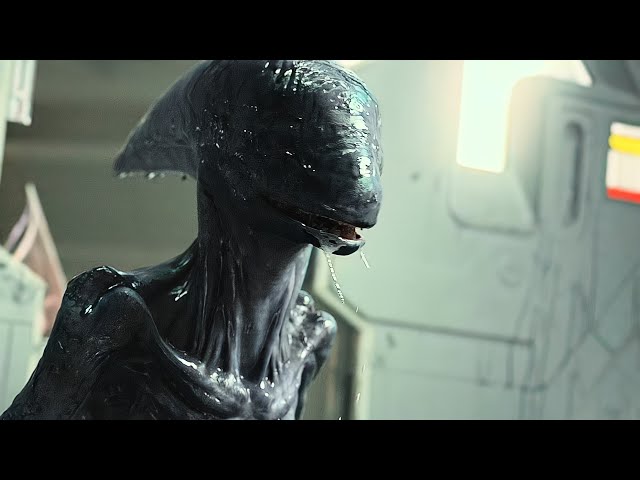 The xenomorph infiltrates the spaceship, and all the crew members perish.