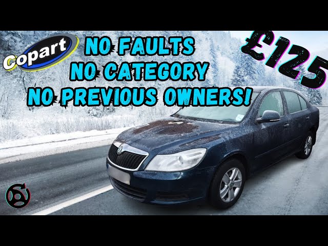 COPART PURCHASE WITH NO PREVIOUS OWNERS!? ON A 13 YEAR OLD CAR!