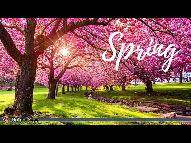 Classical Music for Spring