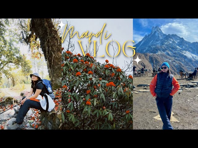 travel diaries: Mardi Himal Trek 🏔️