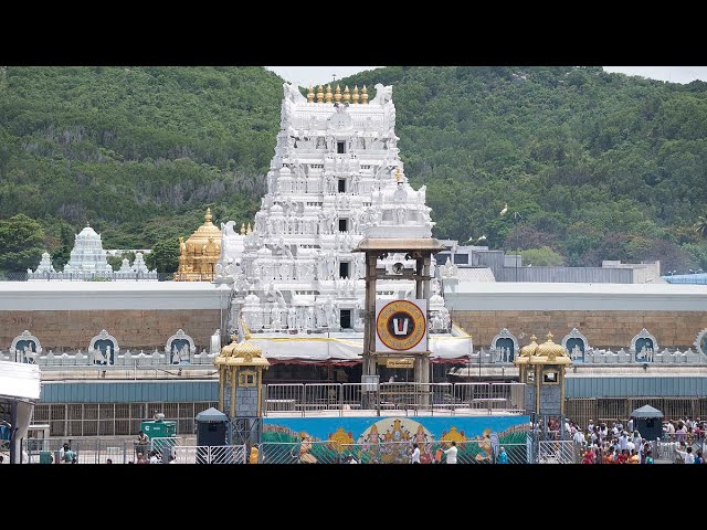 Tirumala 🙏 #tirupati #tirumala #tirumalatirupati #tirumaladarshanam  #tirupatibalaji #shortsfeed