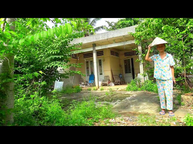 Help Mrs. Lieu, 75 years old, a retired specialist doctor, clean up her overgrown house