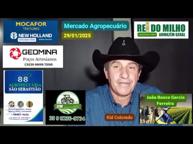 Mercado Agropecuário 29/01/2025 (Obs: Os preços são atualizados todos os dias pelo CEPEA)