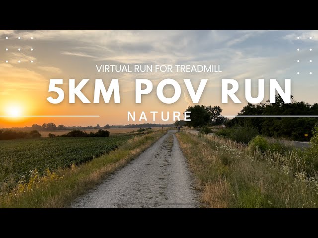 Virtual Run Through Sunlit Meadows | 30 min Running Video for Treadmill Workout in 4K