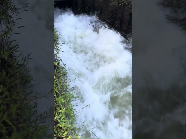 Waterfall Sound ASMR Therapy | Relaxing Nature Sounds for Sleep & Stress Relief 🌊✨