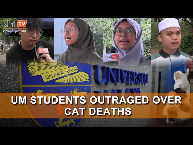 [Voxpop] Cat deaths raise questions at UM, students want answers