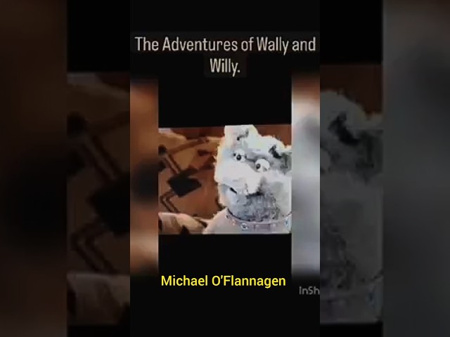 The Wally & Willy Show. Wally farts.