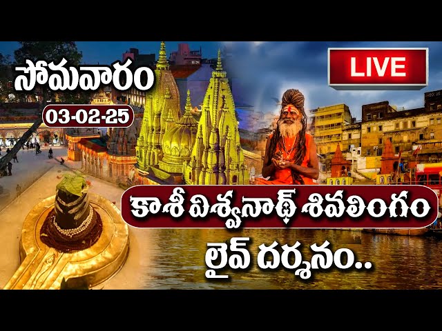 LIVE : Kashi Vishwanath Live Darshan | Magha Masam + Monday Special | 3-02-2025 | #sumantv