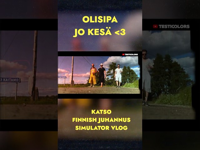 Finnish Juhannus Simulator VLOG