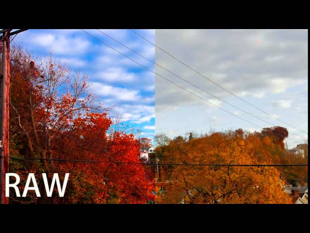 Shooting Magic Lantern - 14 bit Raw vs  8 bit h.264