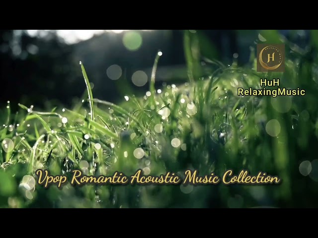 Romantic Acoustic Music Collection!