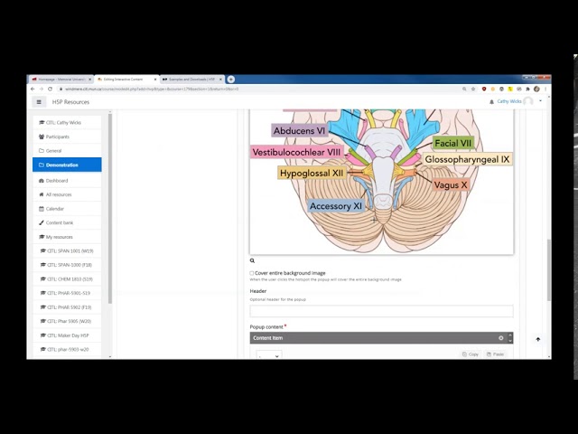 H5P - Create your own interactive learning objects