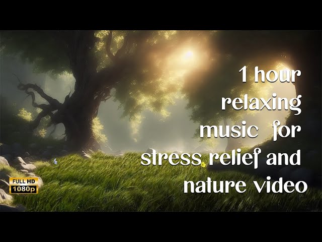 🎵 1 Hour of Relaxing Music & Nature Sounds for Stress Relief 🌿