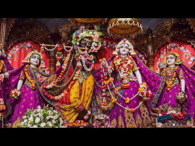 Darshan Aarti || Hare Krishna Mandir, Jaipur || 28th Mar 2021