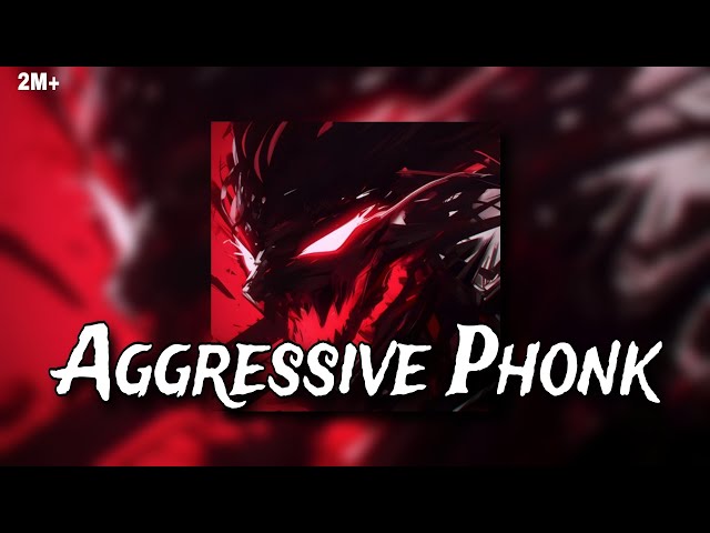 AGRESSIVE PHONK 🔥 | BRAZILIAN PHONK | PLAYLIST #phonk #phonkmusic